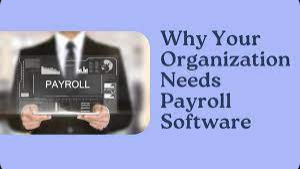 Streamline Operations: How Online Payroll Maximizes Small Business Efficiency